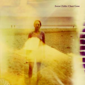 My Love Is Gone by Euros Childs