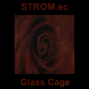 Glass Cage 7"