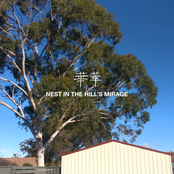 Nest in the Hill's Mirage