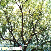 Smallroom 004 Viewed