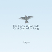 The Endless Solitude of a Skylark's Song