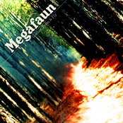 Kaufman's Ballad by Megafaun