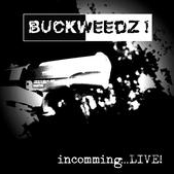 buckweedz