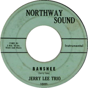 the jerry lee trio