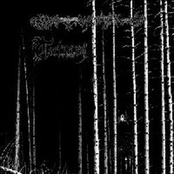 Dead Reptile Shrine & Torturium [Split LP]