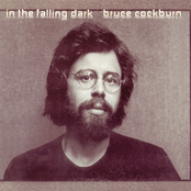 In The Falling Dark by Bruce Cockburn