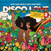 Disco Love 2: More Rare Disco & Soul Uncovered