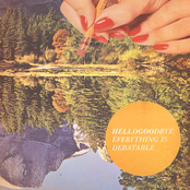 I Don't Worry (as Much As I Should) by Hellogoodbye