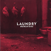 Emily by Laundry