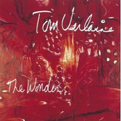 Shimmer by Tom Verlaine
