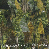 Slow Growth (Demos) - EP