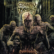 Resurrectionist Blasphemous by Extermination Dismemberment