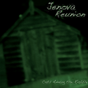 Cats Among the Rubble