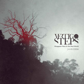 Disappear Here In The Reel World | A VS Coda