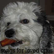 Songs For Loved Ones