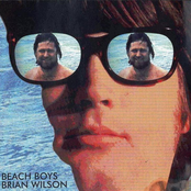 Chain Reaction Of Love by Brian Wilson