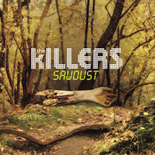 Move Away by The Killers