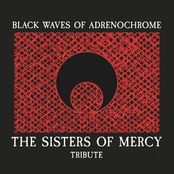 Black Waves of Adrenochrome (The Sisters of Mercy Tribute)