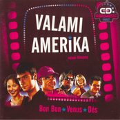 Valami Amerika