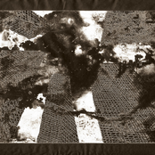 Phenolhouse - "12 Years' In" EP