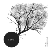 Soma