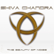 The Beauty Of Noise by Shiva Chandra