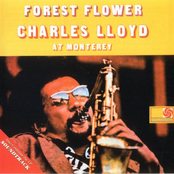 Forest Flower--Soundtrack (flac)