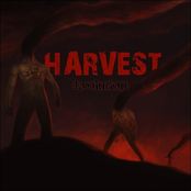 Evolution by Harvest