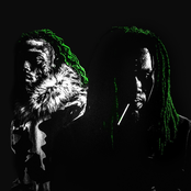 Duality - Single