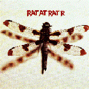 Mothcandy by Rat At Rat R