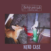 Make Your Bed by Neko Case