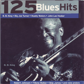 125 Blues Hits