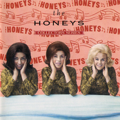 Slip On Through by The Honeys