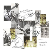 The Shelter: Tabaco y Uñas