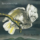 Palo Santo by Shearwater