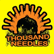 Ikuti Aku by Thousand Needles