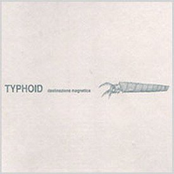 Attese by Typhoid