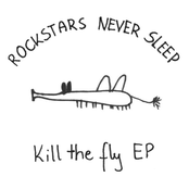 Kill the fly EP