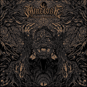 HYMN FOR A WRETCHED TONGUE