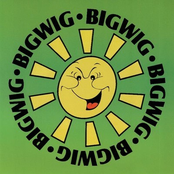 Bigwig