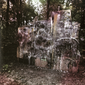 LA Dispute: Wildlife