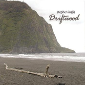 Stephen Inglis: Driftwood