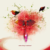 When the light goes out