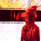 There Are No Accidents... Just Fuckwits