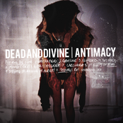 Antimacy by Dead And Divine