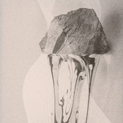 It Will Be Laid Bare Through Witnesses