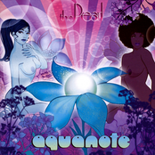 One Wish by Aquanote