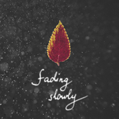 Fading Slowly