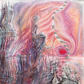 Live @ The Purple Turtle