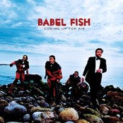 Valentine by Babel Fish